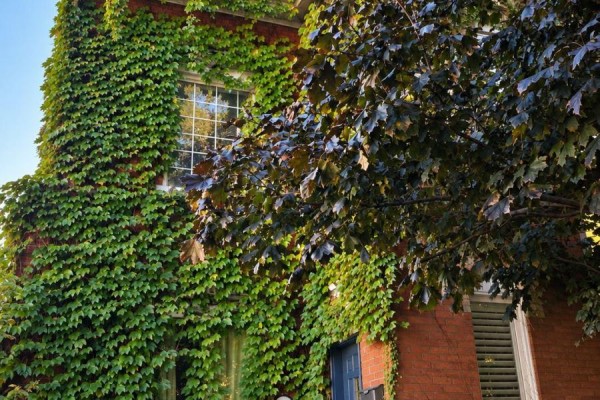 3 - 21 West Avenue S, Hamilton