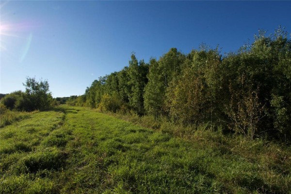 3 & 4 115n Road, Rm Of Rossburn, MB R0J1V0 Photo 2