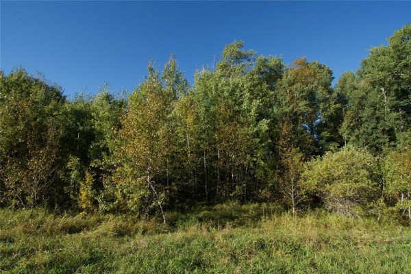3 & 4 115n Road, Rm Of Rossburn, MB R0J1V0 Photo 3