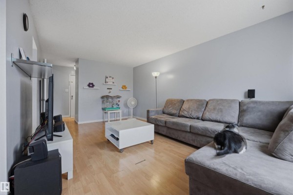 Bedroom 2 - #3 18315 89 Av Nw, Edmonton, AB T5T1X2 Photo 5