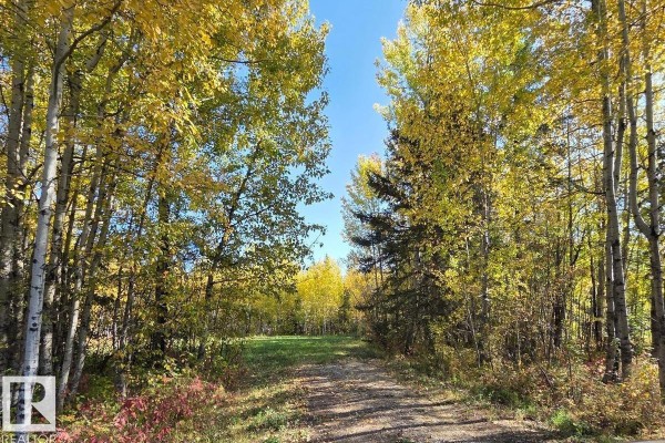 #3 9002 Hwy 16, Rural Yellowhead, AB T0E2M0 Photo 4