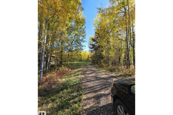 #3 9002 Hwy 16, Rural Yellowhead, AB T0E2M0 Photo 5