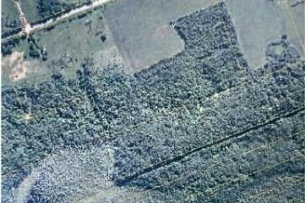 3 Acres Ch Eustache Hache, Saint Isidore, NB, photo 3