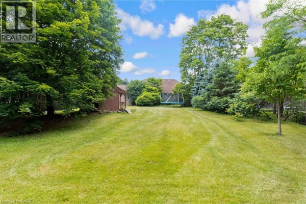 View of a spacious backyard with a trampoline, shed, and mature trees under a cloudy sky. - 3 Appaloosa Trail, Carlisle