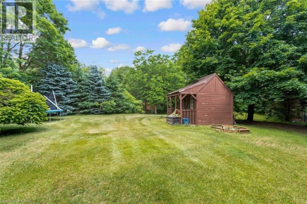 Rear view of a large, grassy backyard with a wooden shed and a trampoline. - 3 Appaloosa Trail, Carlisle