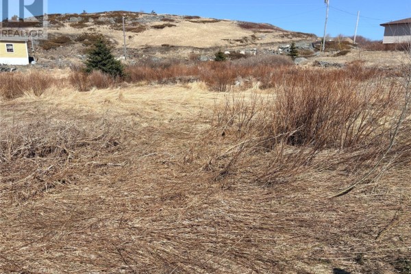 3 Baker's Marsh Road, Bonavista, NL A0C1B0 Photo 4