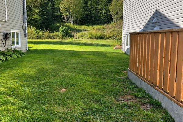 3 Burdell Place, St  John S, NL, photo 2