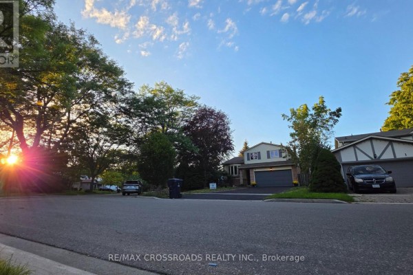 Family room - 3 Cherrydale Court, Toronto, ON M1C3H1 Photo 5