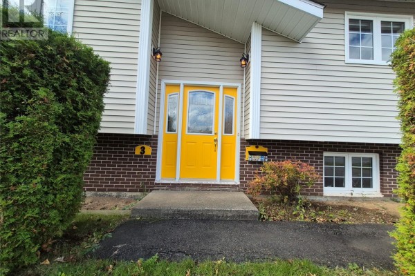 Recreation room - 3 Conway Street, Grand Falls Windsor, NL  Photo 5