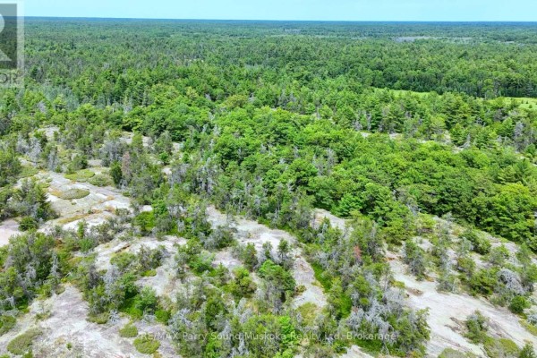 3 Corduroy Bay Road, Carling, ON P0G1G0 Photo 5