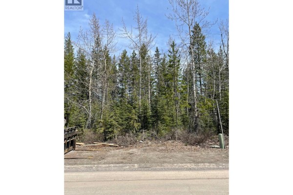 3 Dallas Place, Elkford, BC V0B1H0 Photo 2