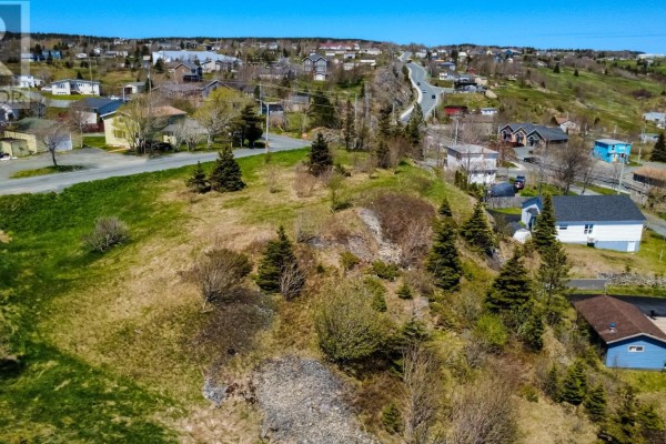 3 Evening's Path, Torbay, NL A1K1J4 Photo 4