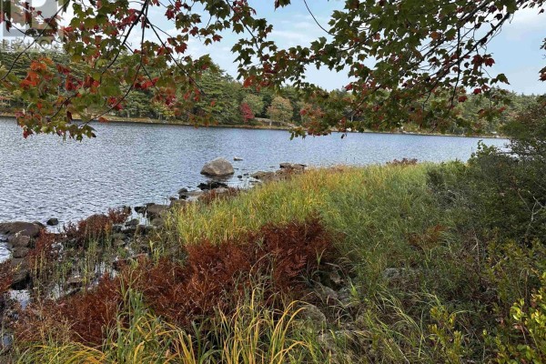 3 Highway 308 N, East Quinan, NS B0W3M0 Photo 3