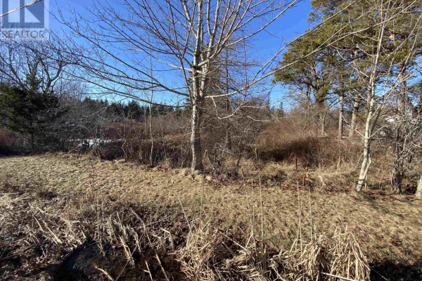 3 Highway, Arcadia, NS B0W1B0 Photo 4