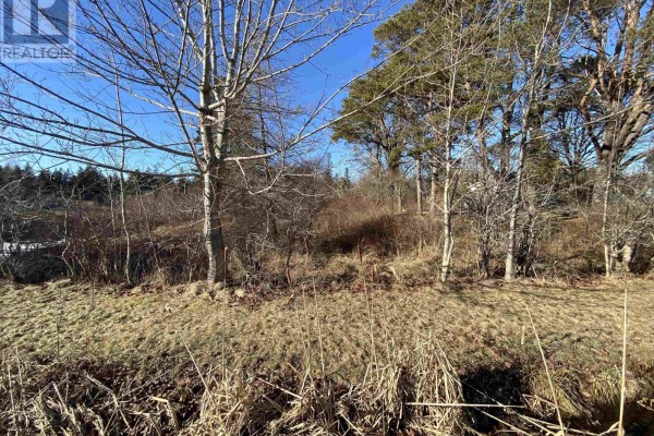 3 Highway, Arcadia, NS B0W1B0 Photo 5