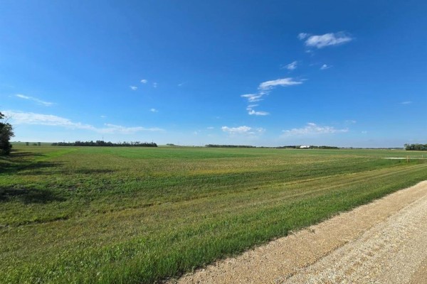 Expansive view of green agricultural fields under a clear blue sky with scattered clouds. - 3 Hunter Road, Springfield Rm