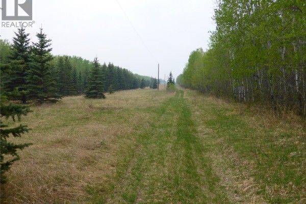 View down a grassy track between rows of pine and deciduous trees with power lines. - 3 Kopp Drive, Turtle Lake