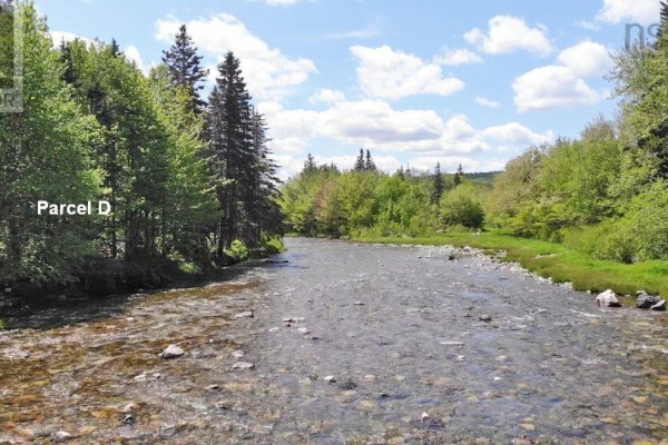 3 Lots Gold Brook Road, Upper Middle River, NS B0E1B0 Photo 3