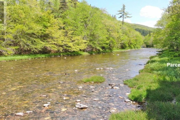 3 Lots Gold Brook Road, Upper Middle River, NS B0E1B0 Photo 4