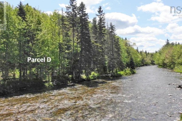 3 Lots Gold Brook Road, Upper Middle River, NS B0E1B0 Photo 5