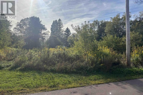 3 Lusby Street, Amherst, NS B4H2S2 Photo 2