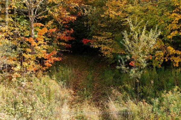 3 Maplewood Drive, Mckellar, ON P2A0B5 Photo 5