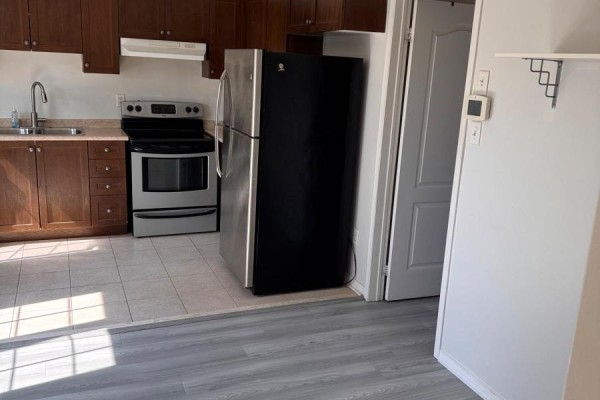 3 Oakmoor Lane, Markham, ON L6B0B3 Photo 5