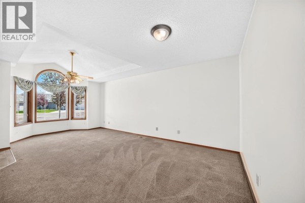 3 Parklane Place, Strathmore, AB T1P1K7 Photo 4