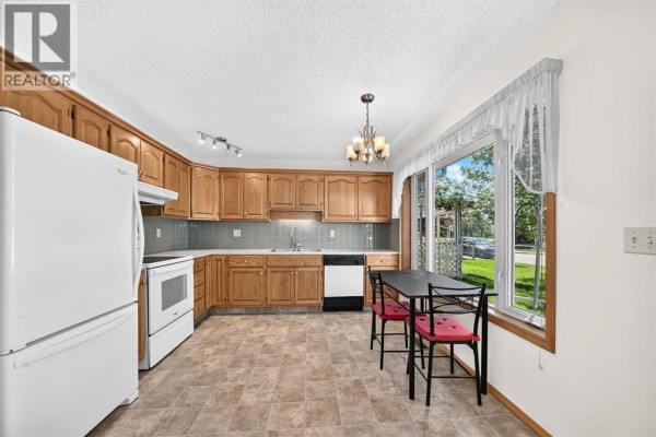 3 Parklane Place, Strathmore, AB T1P1K7 Photo 5