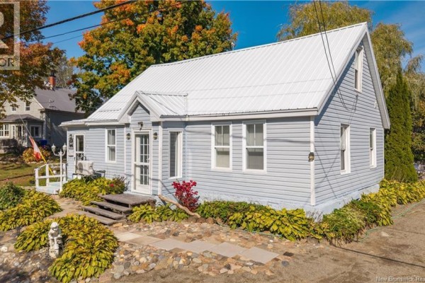 Side view of a light blue house with a white metal roof and overgrown hosta plants. - 3 Pleasant Street, St  Stephen