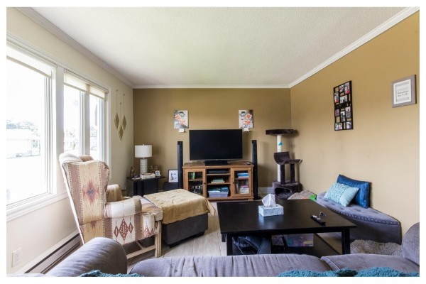 Living room features a television, armchair, cat tree, and a dark coffee table. - 3 Rue Aldège-clément, Gatineau