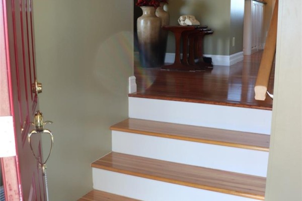Recreation room - 3 Spring Mountain Road, Stephenville, NL A2N1Z2 Photo 3