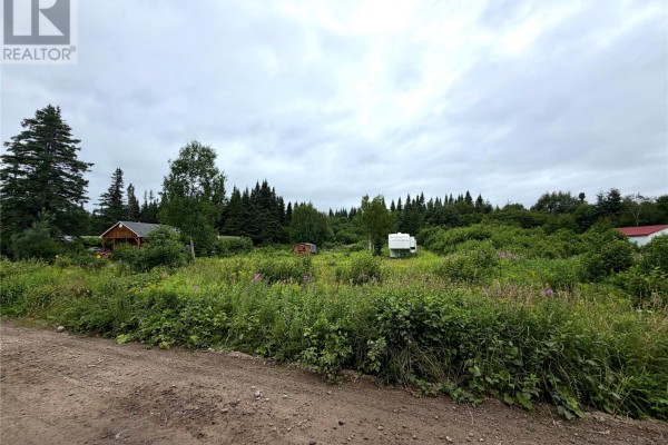 3 Trailway Road, Gallants, NL A0L1G0 Photo 2