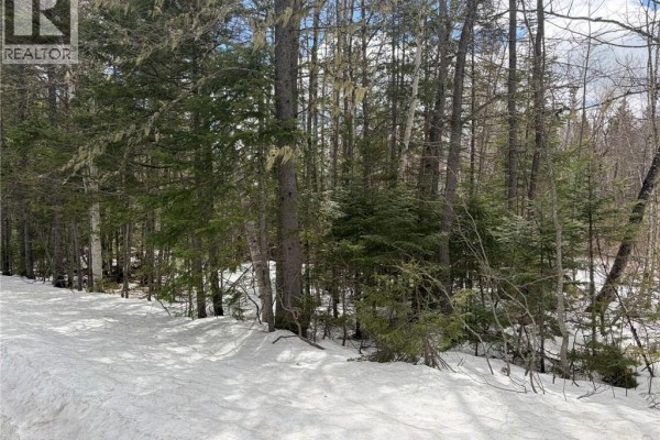 3.7 Acres Route 435, Maple Glen, NB E1V4X5 Photo 3