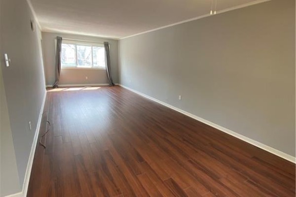 730 Wilkins Street, London South, ON, photo 3