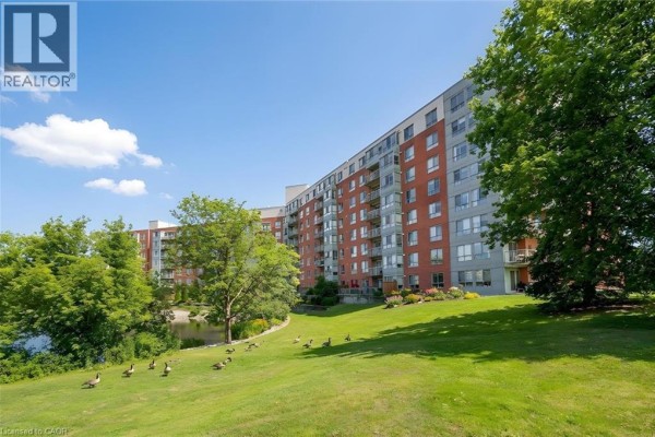 Green lawn with geese in front of the apartment building, with a pond to the left. - 30 Blue Springs Drive Unit# 307, Waterloo