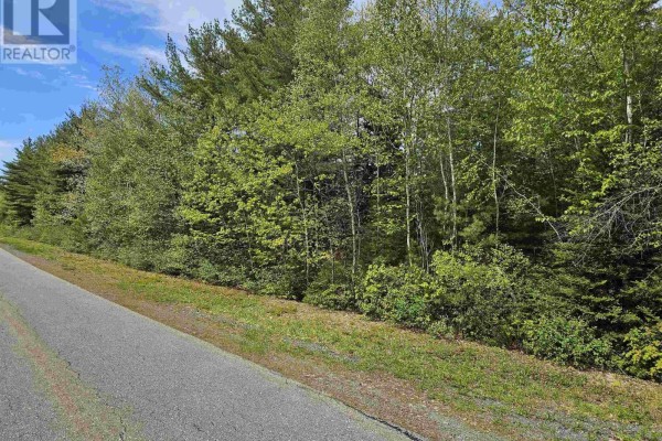 A treed lot with varied green foliage and a bright blue sky overhead. - 30 Lake Loon Road, Cherry Brook