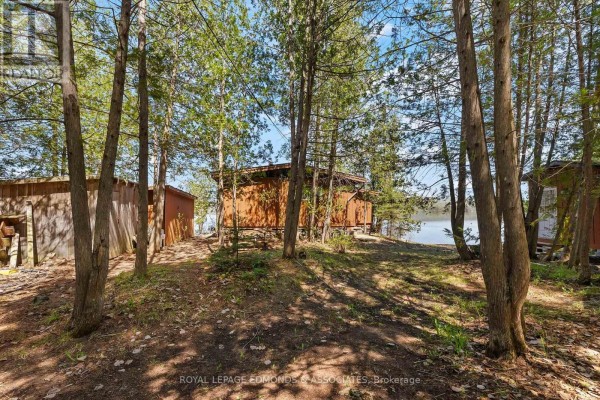 30 Orvilles Trail, Whitewater Region, ON, photo 2