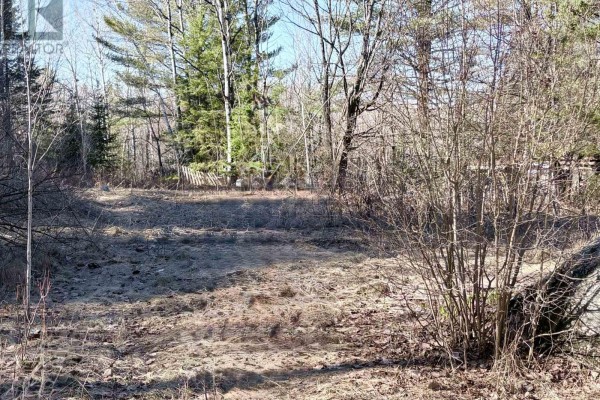 30 Peever Line, Powassan, ON P0H1Z0 Photo 4