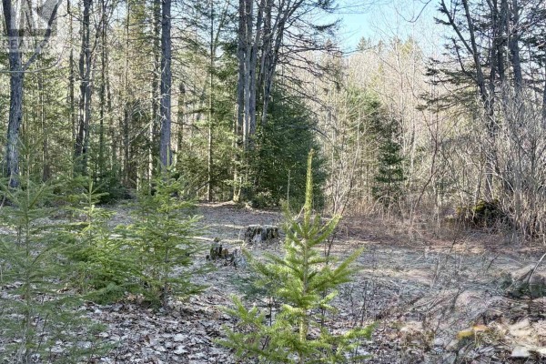 30 Peever Line, Powassan, ON P0H1Z0 Photo 5