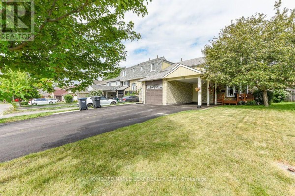 Kitchen - 30 Primrose Crescent, Brampton, ON L6Z1E2 Photo 3