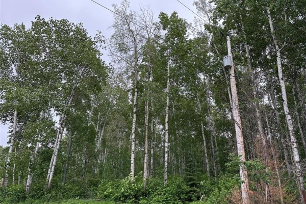 30 Schieman Bay, Grand Marais, MB, photo 2