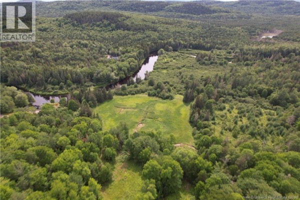 Aerial view of a wooded landscape with a pond and open fields. - 30 Stillwater Road, Digdeguash