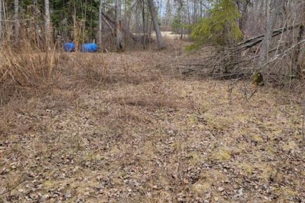30 Wood Duck Bend, Lac Du Bonnet Rm, MB R0E1A0 Photo 3