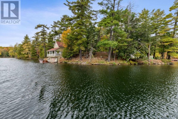 Expansive view of the waterfront property with the house nestled amongst tall pine trees and adjacent to a large body of water. - 300 & 302 Isobel Lane, Tay Valley