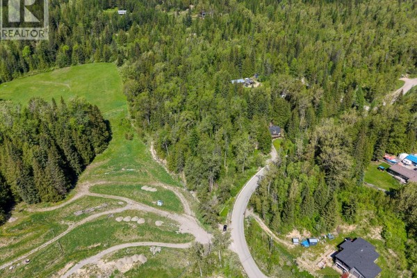 300 Burma Road, Fernie, BC, photo 2