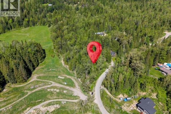 300 Burma Road, Fernie, BC, photo 3