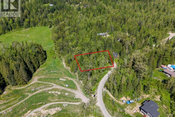 300 Burma Road, Fernie, BC V0B1M0 Photo 4