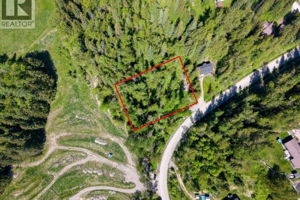 300 Burma Road, Fernie, BC V0B1M0 Photo 5