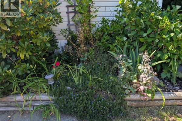 300 Lake Park Rd, Lake Cowichan, BC, photo 2